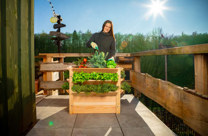 WESTMANN Hochbeet Premium